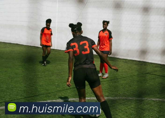 米乐m6平台生态图